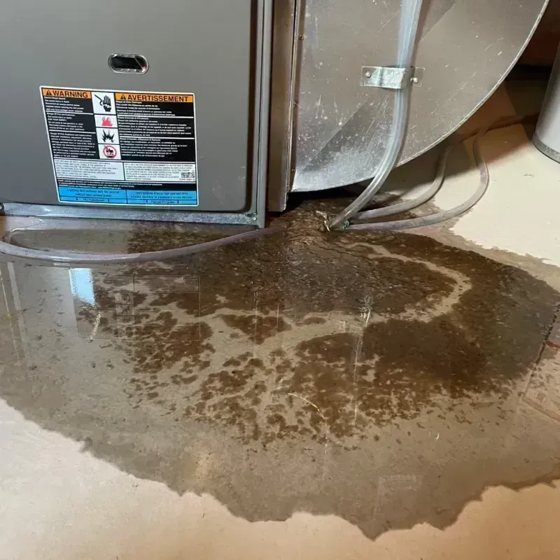 Appliance Leak Cleanup in Sheridan, CO